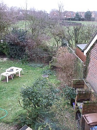 view from window